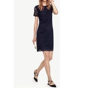 Ann Taylor Mosaic lace shift dress. EUC!!